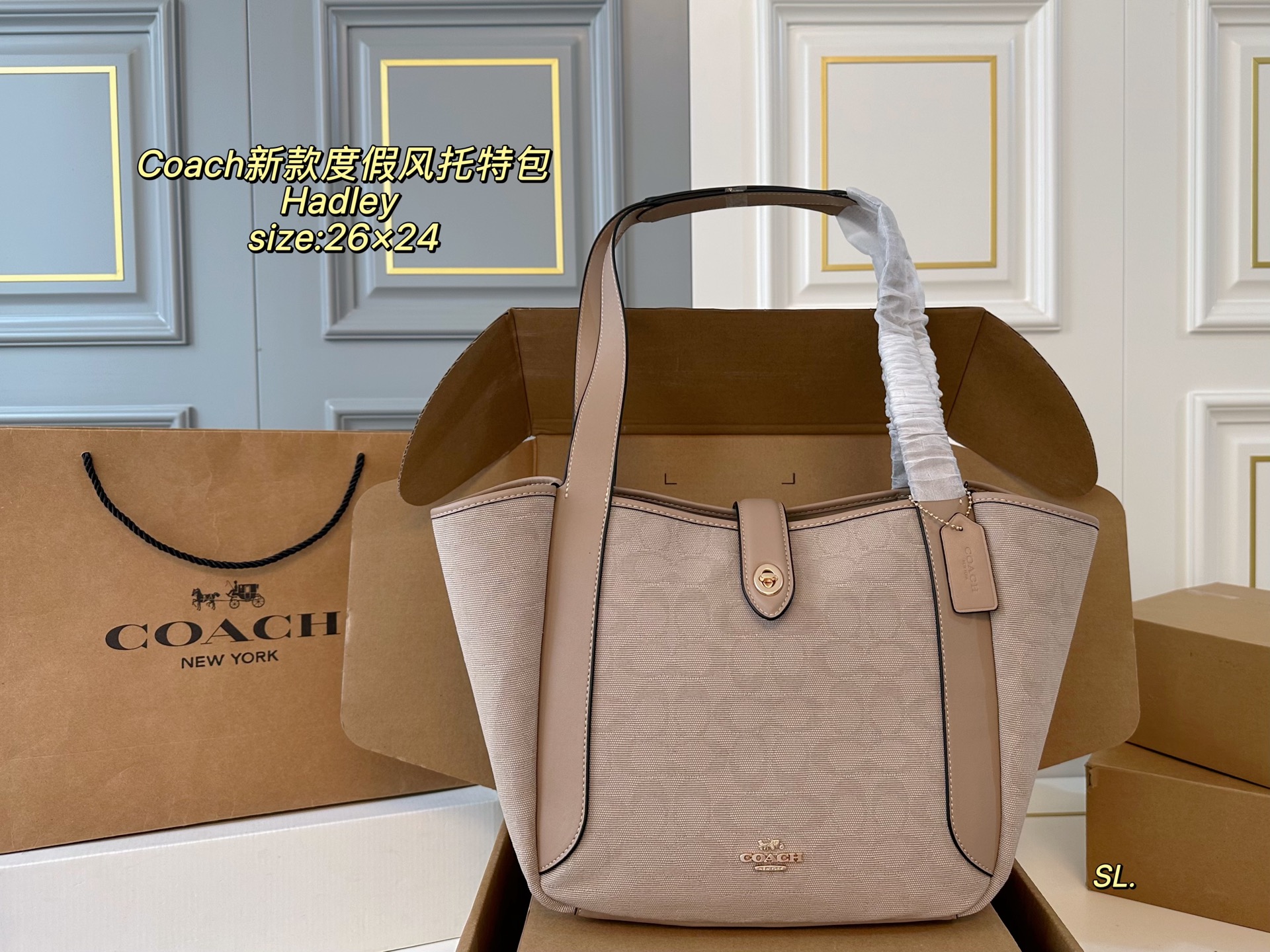 coach bag 351